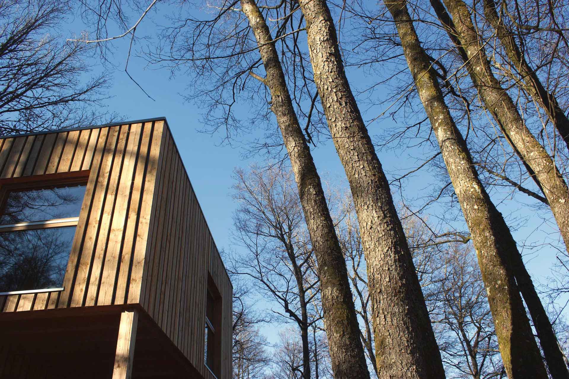 Domaine de Ribeaugoutte