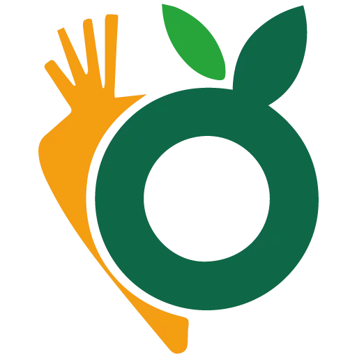 Création site marchand produits bio